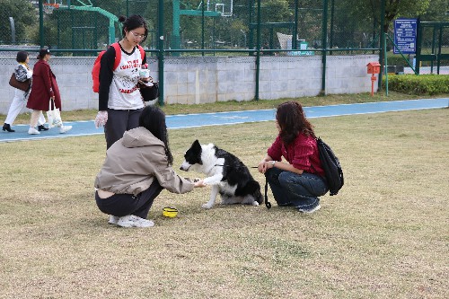 3【标题】养犬新规2026 年 1 月1日起开始实行 (3)~1.jpg
