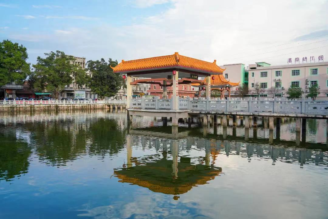 当天下午,调研组一行来到石排镇向西村,听取了向西村党总支书记对村庄