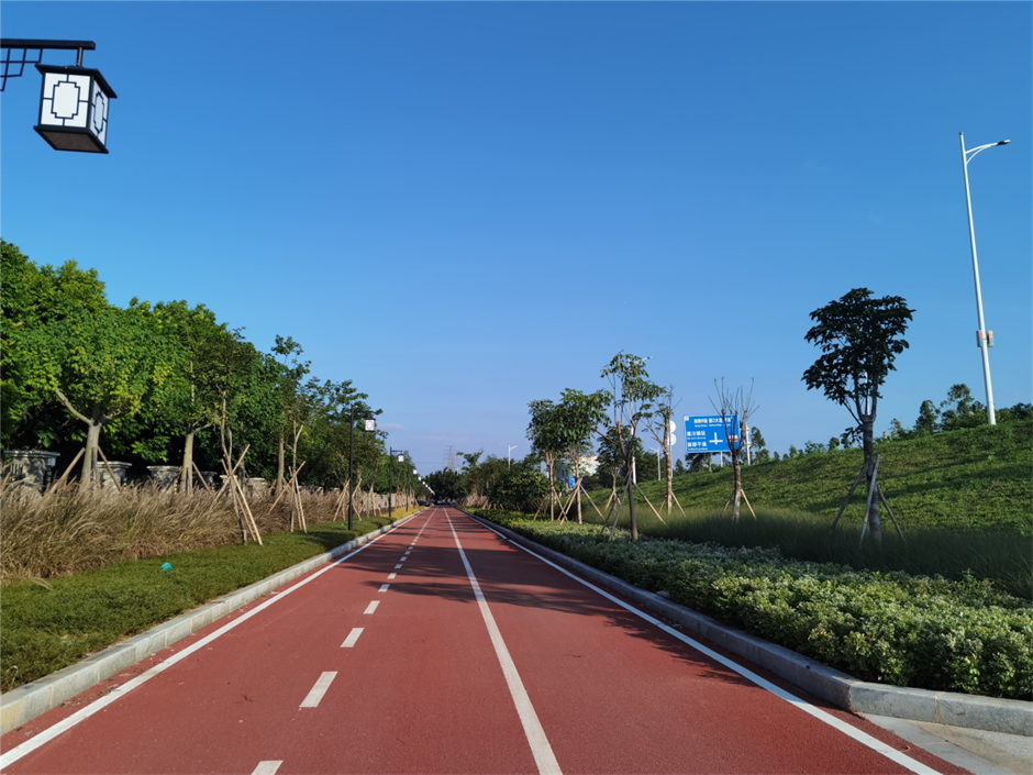 323709.png