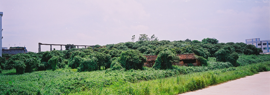 下沙旧渡槽(2005年).JPG