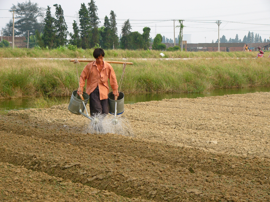 庙边王农地（2005）.JPG