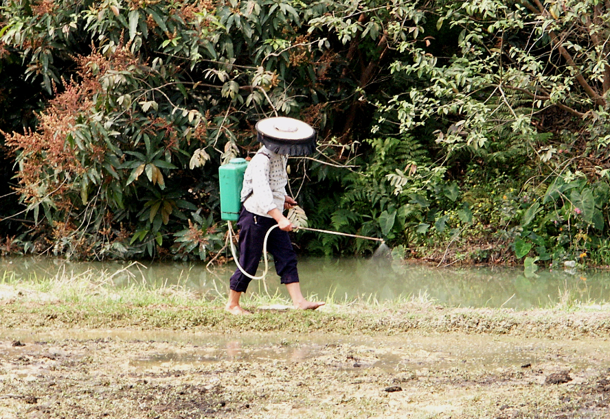 除草（2003）.JPG