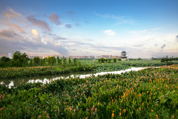 来源麻涌镇宣传办