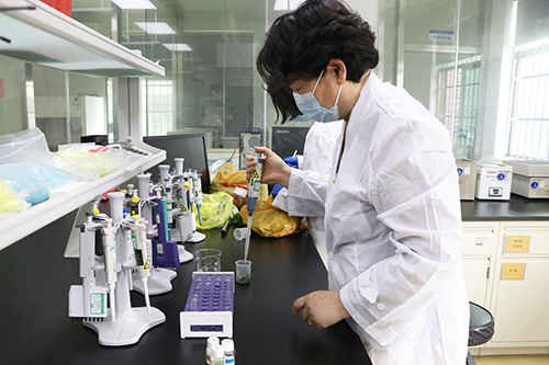 3【标题】加强蔬菜农残检测 确保市民使用安全.jpg