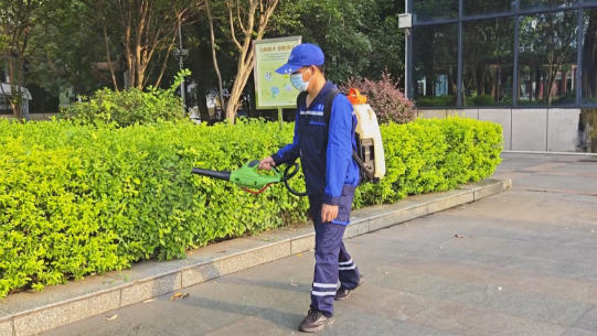 厚街：全民参与灭蚊 共筑公共卫生安全屏障.jpg