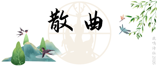 640 (3).png