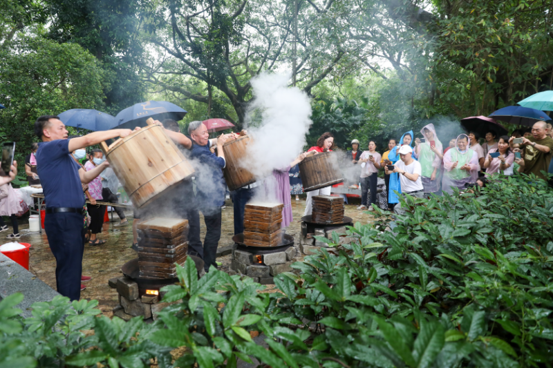 20240503茶园游会 牛过蓢 松糕节 谢锐坚 (15).JPG