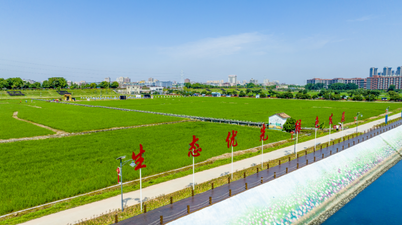 20220518蓝天白云 上元稻田公园 谢锐坚 (29).jpg