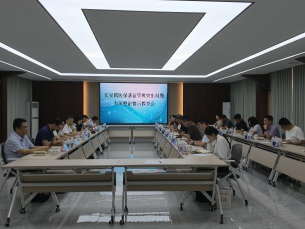 2026年第33期_长安镇召开医保基金管理突出问题专项整治警示教育会议(20260615).docx_3