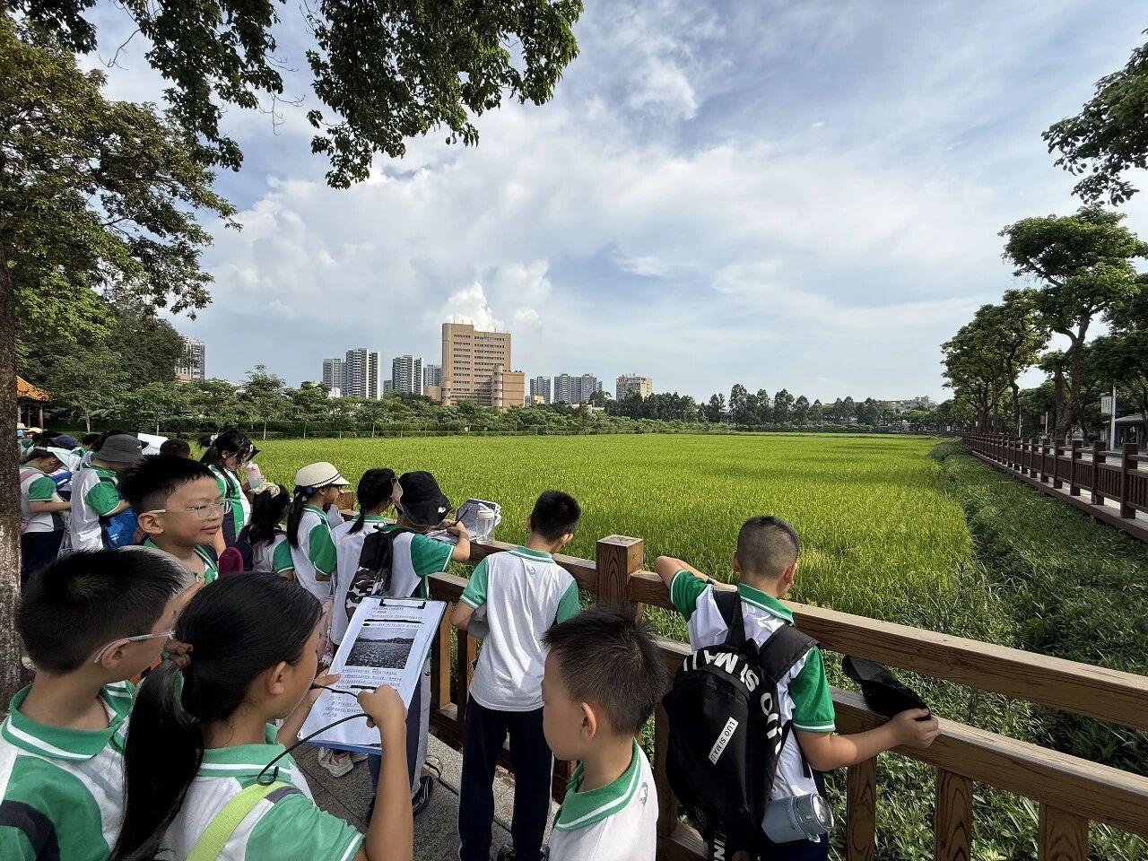 微信图片_2026-06-29_161510_109.jpg
