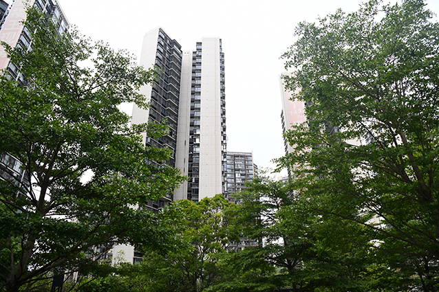 DSC_8729_副本.jpg