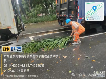 已编辑图片