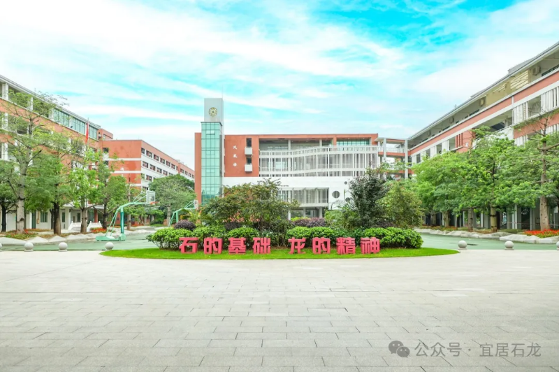 实干先锋·石龙力量丨石龙中学党委：以高质量党建赋能高品质育人