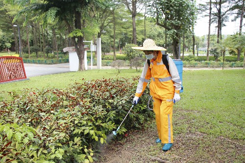 2精准消杀防蚊虫 洁净游园护民生 (3)~1.jpg