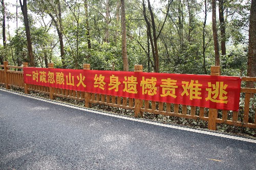 2【网站】大朗织密织牢森林防火线 (3)~1.jpg