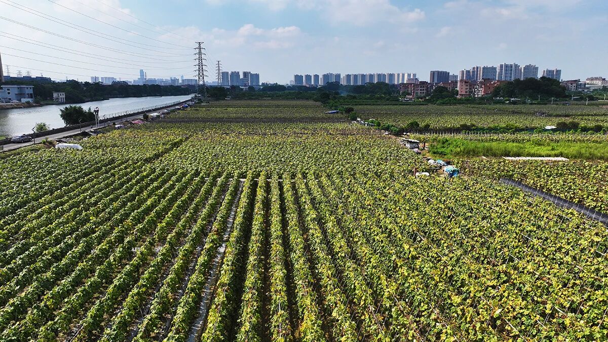 微信图片_2026-10-16_174139_175.jpg