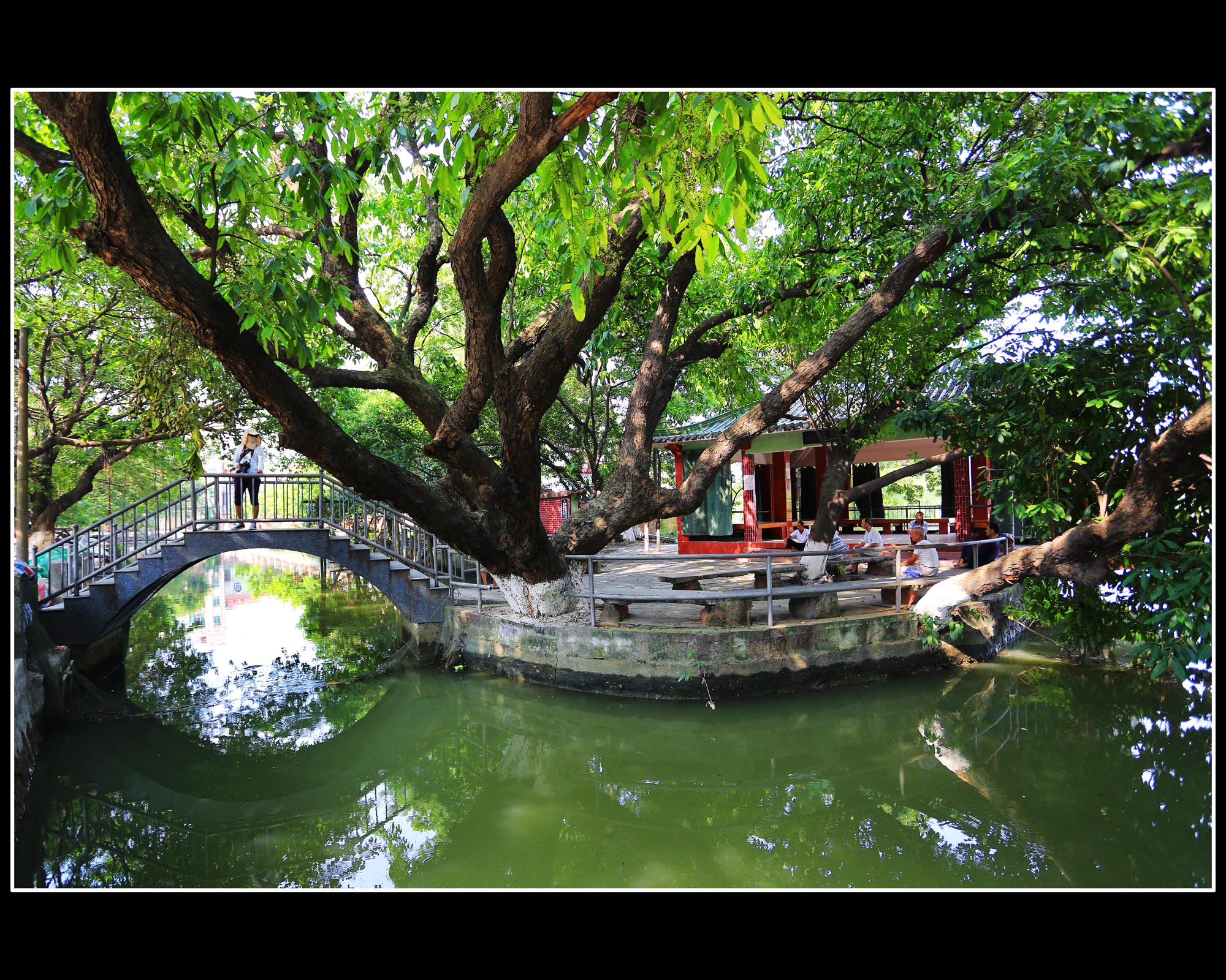 图说麻涌_中国东莞麻涌镇栏目